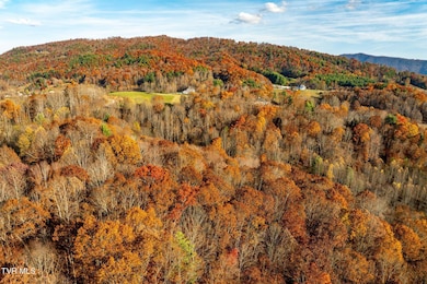 Lot 18 Silver Oak Trail, Butler, TN 37640 - photo 7