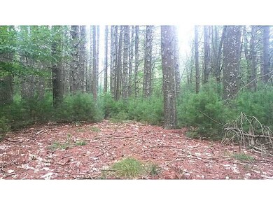 Land.