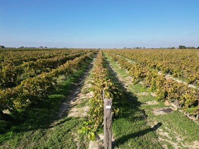 529 W Floral Ave, Fresno, CA 93706 - photo 5