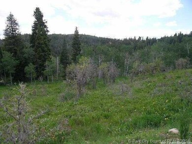 Land/Lot.