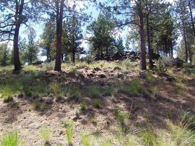 3145 NW Shevlin Meadow Dr unit 99, Bend, OR 97701 - photo 5