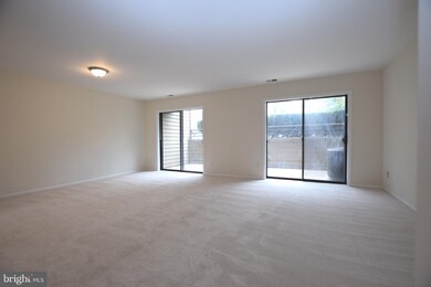 6907 Jones View Dr unit 1B, Baltimore, MD 21209 - photo 5