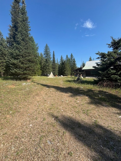 72 Sheldon Flats Rd, Libby, MT 59923 - photo 3