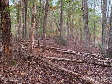 30 Granny Smith Ln unit 30, Lake Lure, NC 28746 - photo 5