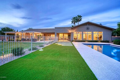 The ultimate Back Yard