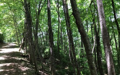 Additional View
