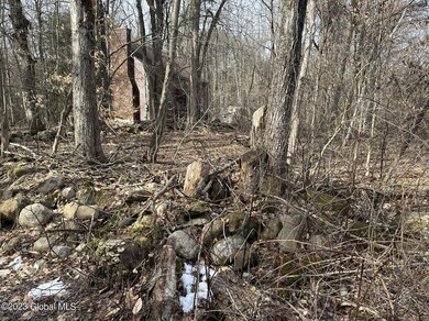 265 Hop City Rd, Ballston Spa, NY 12020 - photo 4