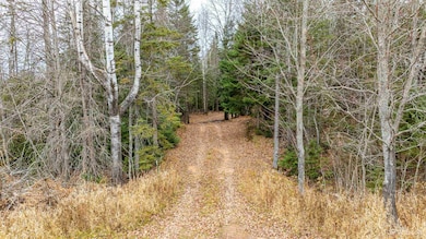 TBD Asumaa Rd, Atlantic Mine, MI 49905 - photo 3