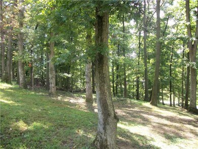 Land/Lot.