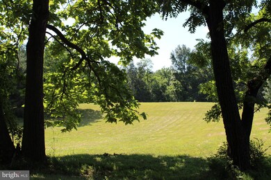 0 Ox Rd S unit 1000121753, Edinburg, VA 22824 - photo 4