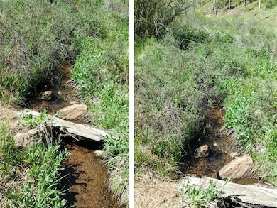 342 & 366 Brown Rd unit 70,71,72,73, Bailey, CO 80421 - photo 7