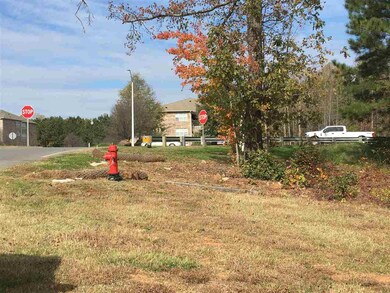 1110-1124 N Dogwood Ave, Siler City, NC 27344 - photo 6