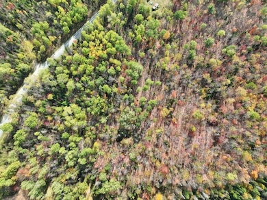 1414 Collins Mill Rd, Newport Center, VT 05857 - photo 6