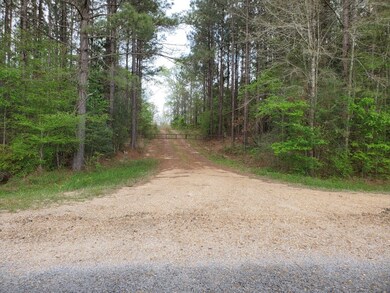 Xx Enterprise Rd, McComb, MS 39648 - photo 5