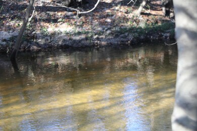 6.66 Agricola Latonia Rd, Lucedale, MS 39452 - photo 5