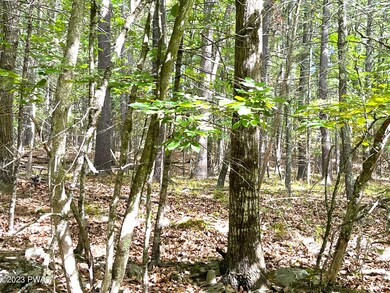 481 Eastwood Cir, Hawley, PA 18428 - photo 2