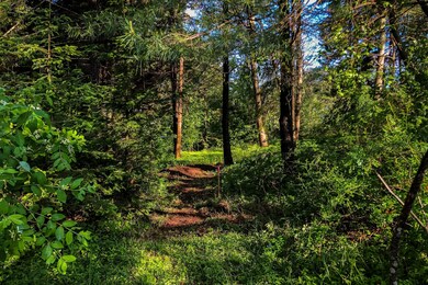 Lot 36 High Head Rd, Harpswell, ME 04079 - photo 7