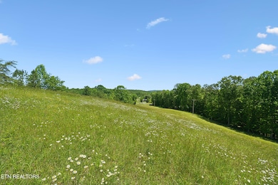 Fields