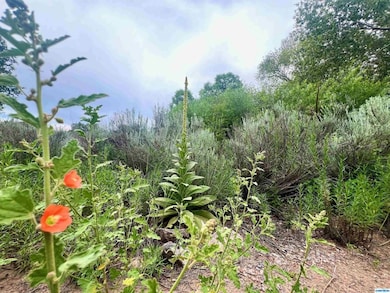 5 Chestnut St unit Tracts 1A and 1B, Mimbres, NM 88049 - photo 4