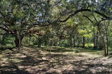 5005 SW 63rd Blvd, Gainesville, FL 32608 - photo 7