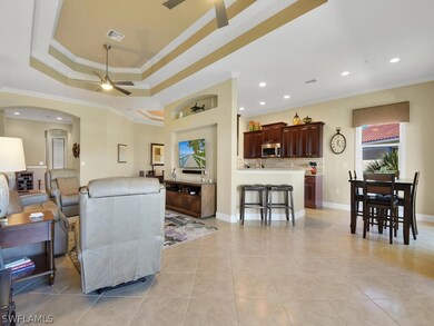 Volume & Tray Ceilings