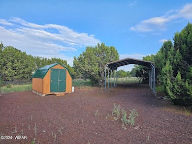 004_Shed & 1 Carport