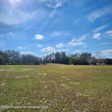 832 E Dunbar Ln, Hernando, FL 34442 - photo 7