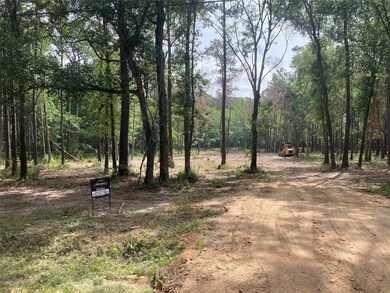 0 Miller Rd, Magnolia, TX 77354 - photo 2
