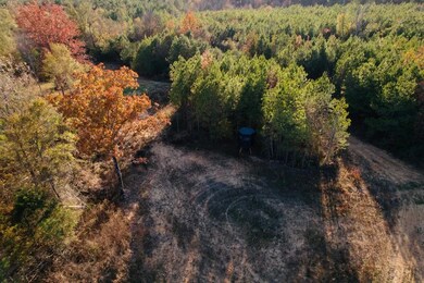 Cr 4210, Sallis, MS 39160 - photo 4