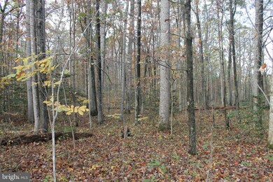 0 S Pines Rd, Lee, VA 20186 - photo 5