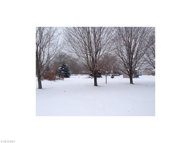 Back Yard View