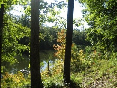 3937 Upper River Rd, Macon, GA 31211 - photo 5