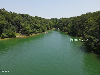 TBD Needles Way, Sevierville, TN 37876 - photo 7