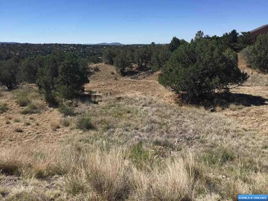 21 Antelope Run, Silver City, NM 88061 - photo 3