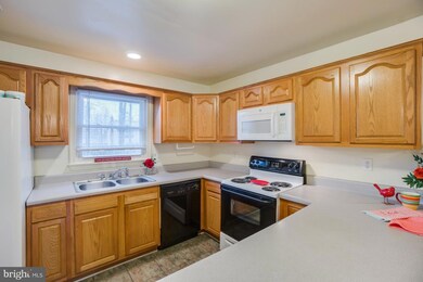 323 Burman Ln, Fredericksburg, VA 22407 - photo 5