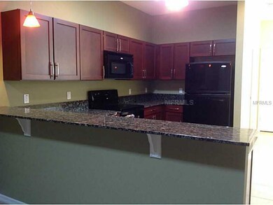 30636 Lipizzan Terrace, Mount Dora, FL 32757 - photo 5