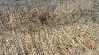 7-web-or-mls-wileytown-rd