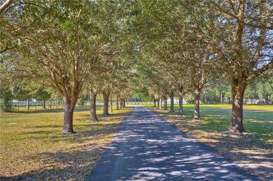 6612 Perpetual Ln, Wesley Chapel, FL 33545 - photo 4