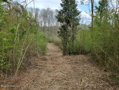 No Enterprise Rd, McComb, MS 39648 - photo 6