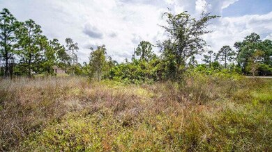 1253 Songbird St, Fort Myers, FL 33913 - photo 2