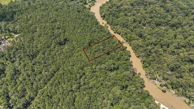 0 Blue Lake Dr unit 42488452, Cypress Point, TX 77336 - photo 6