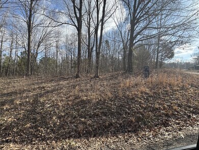 0 Crestview Dr unit 133145, Bumpus Mills, TN 37028 - photo 4