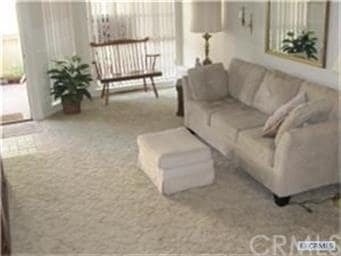 Neutral carpeting in the living room