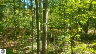 0 Fifth St unit 33, West Branch, MI 48661 - photo 4