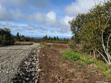 000 Clyde Thomas Ave, Anchor Point, AK 99556 - photo 3