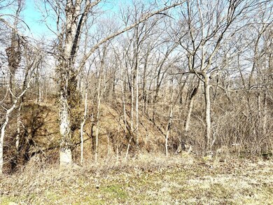 back part of property