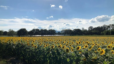 130 Krystal Dr, Chickamauga, GA 30707 - photo 7