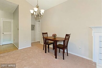 13068 Autumn Woods Way unit 203, Fairfax, VA 22033 - photo 7