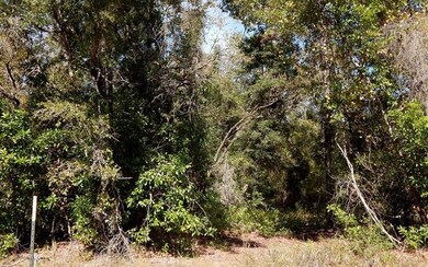 00 280th St, Branford, FL 32008 - photo 4