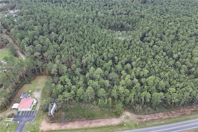 0 Hwy 40, Ocala, FL 34470 - photo 2